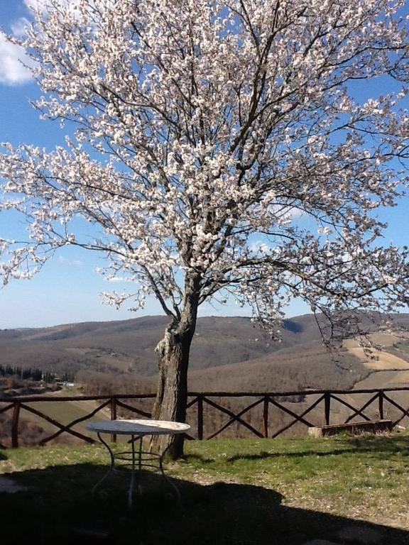 Camere E Appartamenti Baldini Romanita ราดดา อิน เคียนติ ภายนอก รูปภาพ