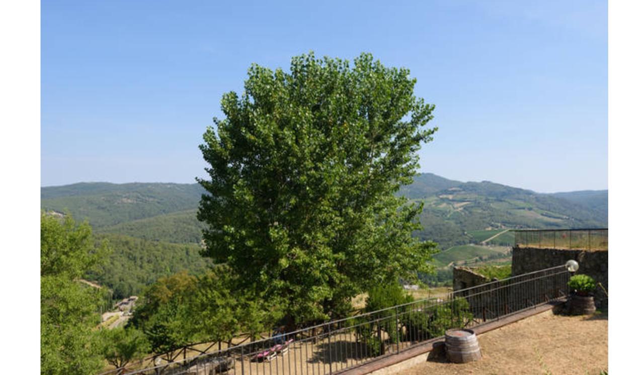 Camere E Appartamenti Baldini Romanita ราดดา อิน เคียนติ ภายนอก รูปภาพ